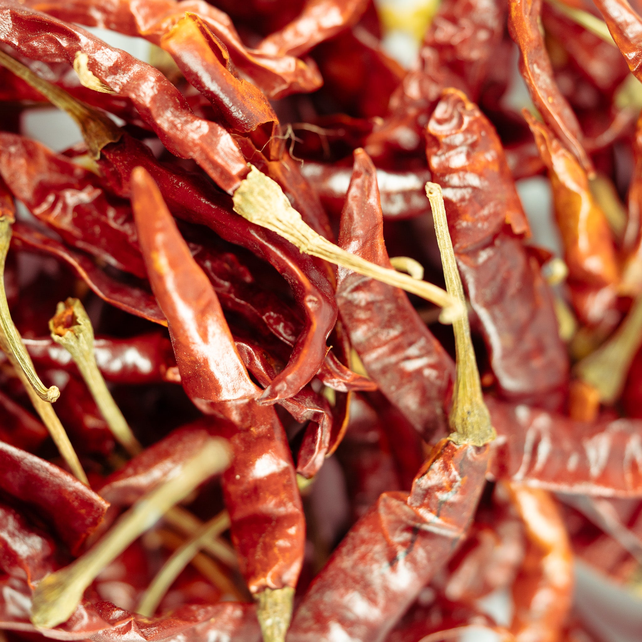Red Chilli from Nadia, West Bengal