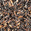 Schwarzer Reis aus Westbengalen, Indien