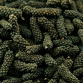 Langer Pfeffer aus Westbengalen, Indien