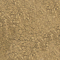Cumin Powder from Gujarat, India