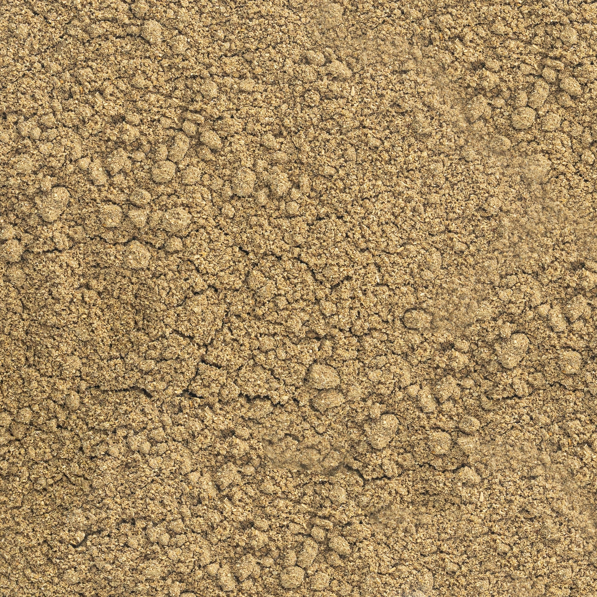 Cumin Powder from Gujarat, India